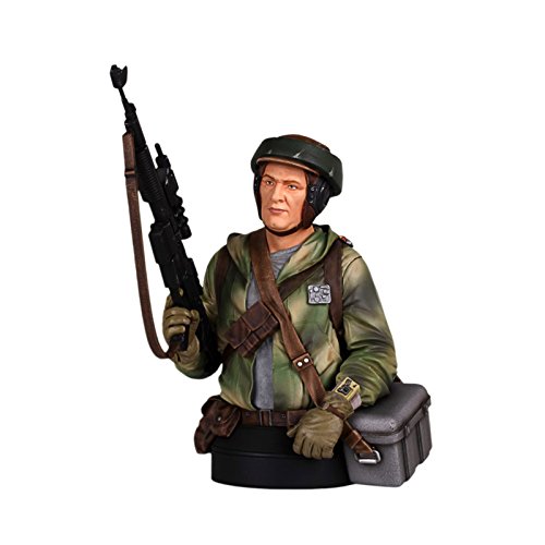 Gentle Giant Endor Trooper Mini Action Figure Bust