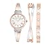 Anne Klein Rose Goldtone and Silvertone Bangle Set