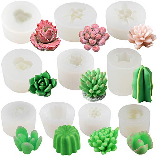 Funshowcase Cactus and Succulent Plant Silicone Molds Set for Epoxy Resin Soap Candle Wax Polymer Clay Concrete Plaster Fondant Cake Decor Chocolate