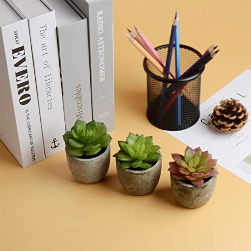 image for HappyHapi 6 Pcs Assorted Potted Artificial Succulent Plants Decorative