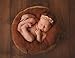 Sunmig Newborn Baby Wool Fluff Photo Props Merino Basket Stuffer Basket Filler Rug Photography Prop (Coffee)