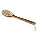 Brush - Deluxe Long Handle 100% Wild Boar Firm Body Brush Wet / Dry One Piece B