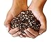 Organic Succulent and Cactus Soil - 1 Gallon (4 Dry Quarts) primary