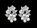 SAMKY Flower Leaf Bridal Prom Pearl Crystal Choker Necklace Earrings Set N336