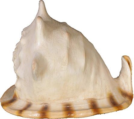 Nautical Tropical Imports Helmet Shell Extra Large Replica