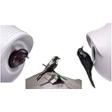 Purple Martin Decoy