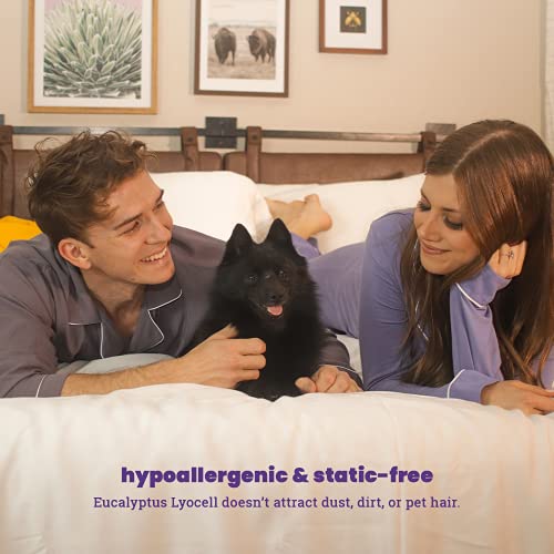 Sheets & Giggles 100 Eucalyptus Lyocell Bed Linen Set, Naturally