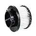 2 - FilterBuy Dirt Devil F-9 (F9) HEPA Replacement Filters, Part #'s 2DJ0360000 & 3DJ0360000. Designed by FilterBuy to fit Dirt Devil Purpose for Pets M0105 Handheld Vacuum