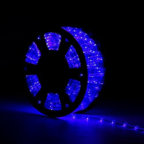 Peach Tree 2-Wire Waterproof LED Rope Light Kit, 100FT/30M for Background Lighting,Decorative Lighting, Christmas Lighting (blue)