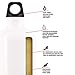 SIGG - Aluminum Water Bottle - Traveller - Made in Switzerland - Carbonated Drinks - Recycled - BPA-Free - 20Oz / 34Oz