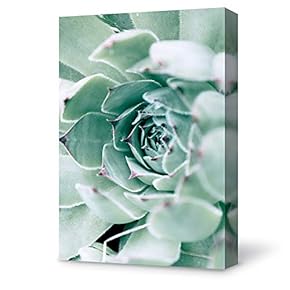 Canvas Wall Art Plant Succulents Plant Office Canvas Painting Wall Poster Decor for Living Room Wooden Framed Home Decorations - 12x18 inches