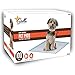 Stella Puppy Training UnderPads Super Absorbent Large Doggie Pet Incontinence Bedding and Furniture Protection Disposable Pad 22 x 23, 100 Count.