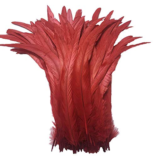 AABABUY Set of 500 Dyed Rooster Coque Tail Feathers 14-16