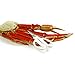 Norpro Shanghai Crab/Lobster Scissors, 6in/15cm, As Shown