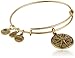 Alex and Ani Star of Venus III Expandable Rafaelian Bangle Bracelet