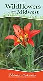 Wildflowers of the Midwest: Your Way to Easily Identify Wildflowers (Adventure Quick Guides)