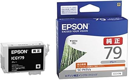 epson exceed your vision