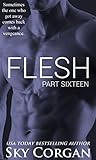 Flesh: Part Sixteen (The Flesh Series Book 16)