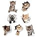 Cieovo 3D Removable Cats Large Wall Stickers Decals Cute Animal Wall Sticker Mural for Kids Cute Cat Decor Posters for Nursery Room, Toilet, Kitchen, Offices A Set of 7