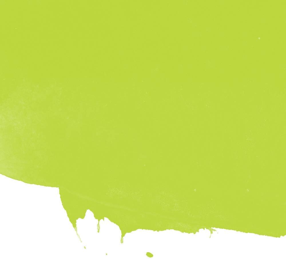 GhiantH2O Textile Colours Spray Paint, Metal, Fluorescent Green, 14.5 x 5 x 5 cm