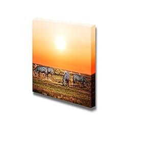 Canvas Prints Wall Art - Zebras Herd on Savanna at Sunset, Africa | Modern Wall Decor/Home Art Stretched Gallery Canvas Wraps Giclee Print & Ready to Hang - 12" x 12"