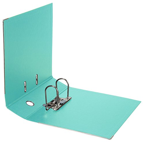 Falken Chromocolor Premium Quality Plastic Inner and Outer File Folders 8 cm Wide DIN A4 2 Assorted Colours Each with 2 Mint Leaves / Light Blue / Lime Green / Pink / Pack of 10