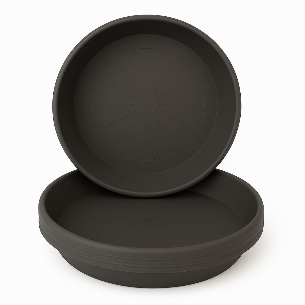 Home Garden Ornaments Plant Pot Saucers Strong Drip Tray Round Tray Plastic Trays Set of 5 (Anthracite, Diameter: 10cm)