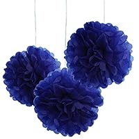 10pcs Royal Blue Tissue Hanging Paper Pom-poms, Hmxpls Flower Ball Wedding Party Outdoor Decoration Premium Tissue Paper Pom Pom Flowers Craft Kit, 10 Inch