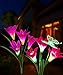Solar Flower Lights, Solar Lights Outdoor Garden Decorative with 7 Lily Flower 1 Butterfly for Yard Patio Lawn Garden Decorations (Purple + Red)