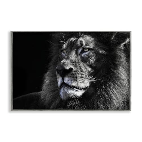 Lion Portrait Close Up Wildlife, 16 x 24 Inch Framed Giclée Print