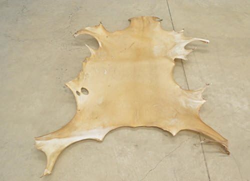 The Leather Guy - Leather Deerskin Rawhide Drum Head 37" x 15" Large 1-2 Ounces Deer-4