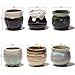 Potaroma Succulent Pots, 6 Pack Premium Ceramic Plant Pots with Drainage, FlowingGlaze Pots for Plants. Succulent-Pots-Planter-Flower-Plants