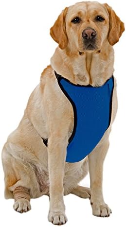 Kumfy Tailz Warming/Cooling Dog Harness, Adjustable Neck, Large, Royal Blue