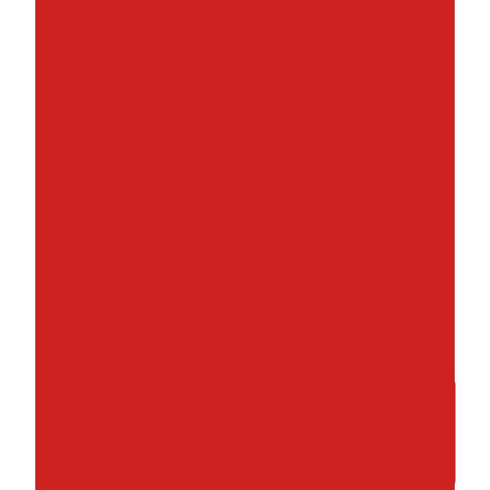 ARK A4 240gsm Colored Card Stock Pack of 10 Sheets (Xmas Red)