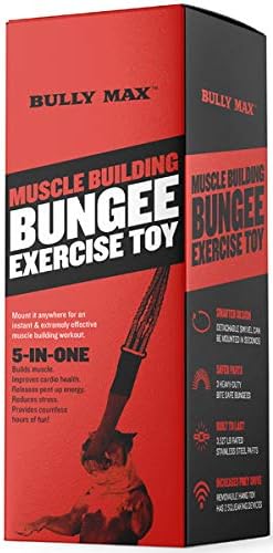 bully max spring pole