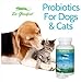 Dr. Goodpet Probiotics w/prebiotics - Billions of High-Potency CFU's - Superior Digestive Support