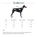 SCENEREAL Dog Sweater Christmas Winter Knitwear Xmas Clothes Classic Warm Coats for Cold Days, Grey M