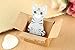 Yosoo Cartoon Cats Sticky Notes, Pack of 5