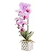 LOUHO Flower Arrangement (Light Purple-4)