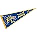 Drexel Dragons Pennant Full Size Felt