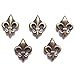 Fleur De Lis Home Decor SMALL Refrigerator Magnets by Morning Sky/Magnet Board 5-pc Magnet Set