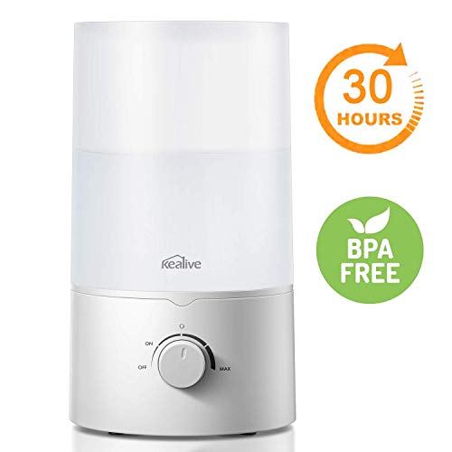 Top 10 Humidifiers Large Room of 2020 | No Place Called Home