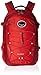 Osprey Packs Quasar Daypack, Robust Red