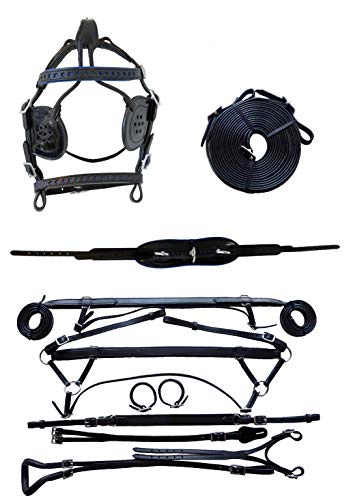 Equitem Black Leather Mini Pony Driving Harness with Blue Stars - Thumbnail 5