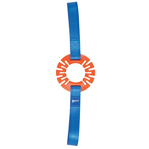 Chuckit! Ring Tug Dog Toy, Small