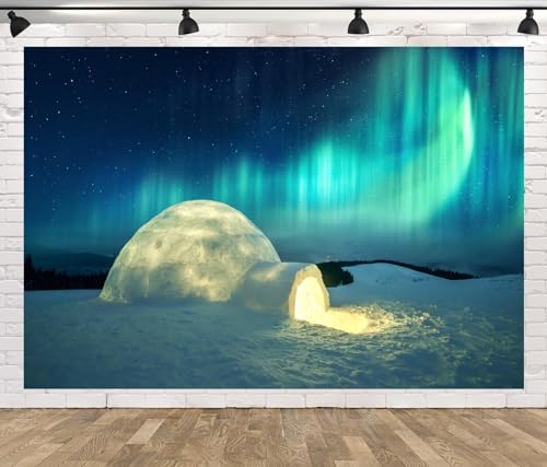 CORFOTO Aurora Igloo Backdrop Fabric 10x8ft Arctic