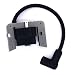 FitBest Replacement Ignition Coil For Tecumseh 35135, 35135A, or 35135B primary