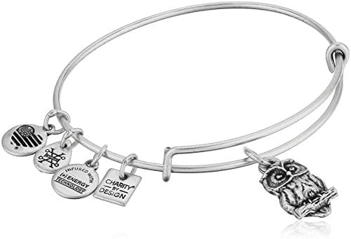 Alex and Ani Women's Owl Charm Bangle Bracelet, Rafaelian Silver, Expandable