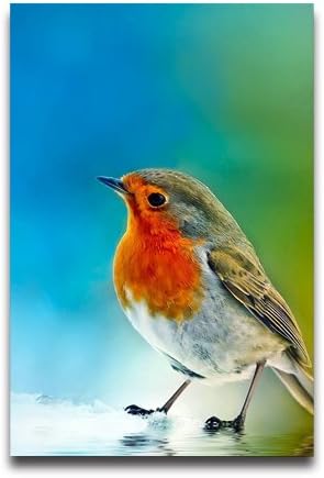 Beautiful Bird Wallpaper Customized Home and Office Derco photographic paper Posters 16"x 24"