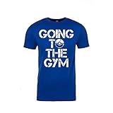 Pokemon Go Shirt Team Mystic Valor Instinct Going To The Gym Pokémon GO Shirt (Large, Royal)